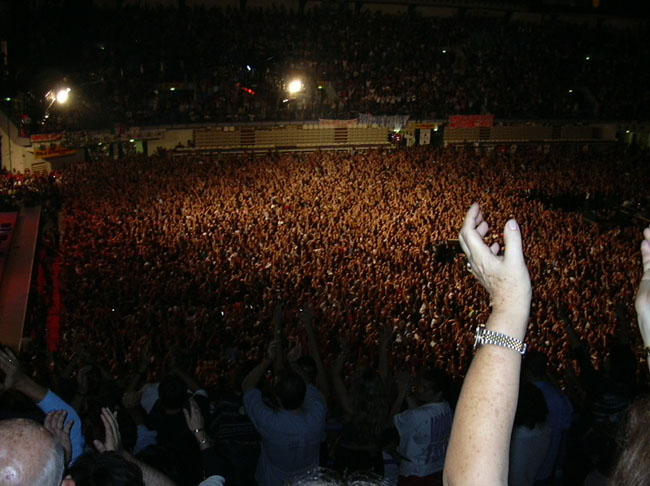 platea durante il concerto